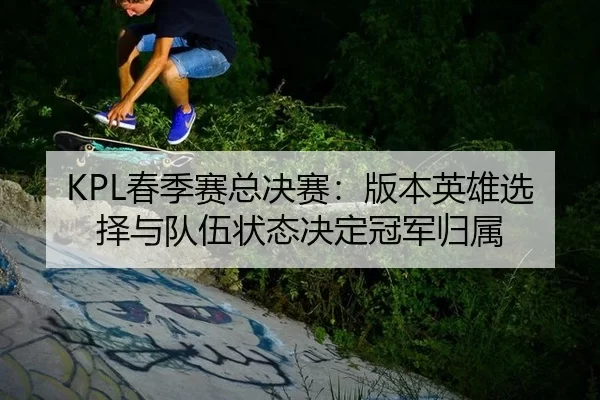 chun-ji-sai-zong-jue-sai-ban-ben-ying-xiong-xuan-ze-yu-dui-wu-zhuang-tai-jue-ding-guan-jun-gui-shu-2-242.jpg
