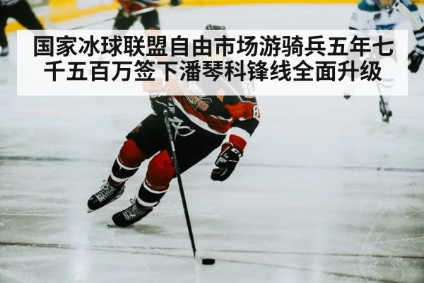 国家冰球联盟自由市场游骑兵五年七千五百万签下潘琴科锋线全面升级