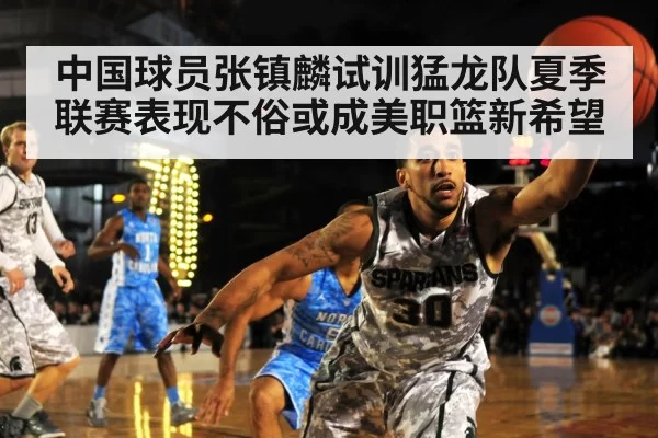 中国球员张镇麟试训猛龙队夏季联赛表现不俗或成美职篮新希望